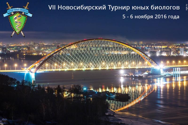 Постер Новосибирского ТЮБ-2016