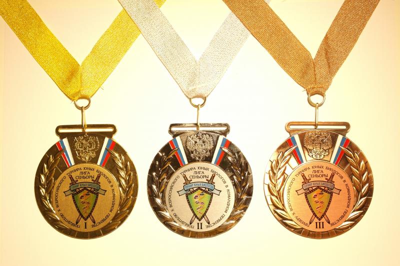 Набор медалей в командном первенстве X ВТЮБ