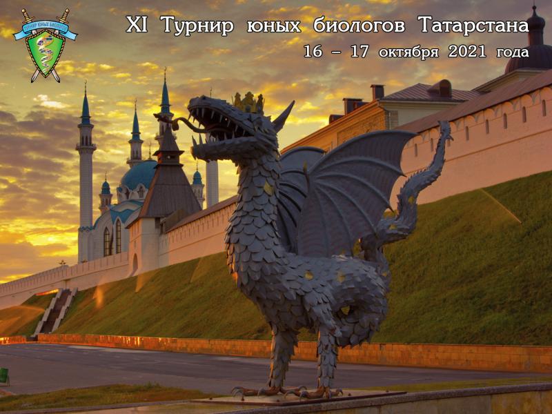 Информационное письмо и правила ТЮБ Республики Татарстан-2021